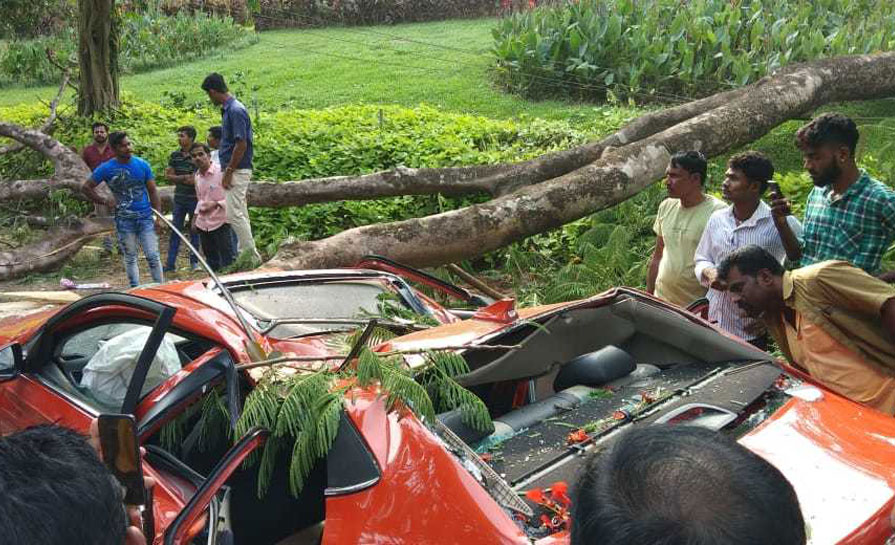 Ujire: Tree falls on car and kills two youngsters