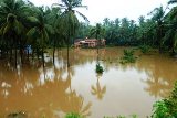 Swarna river flood Kemmannu Kallianpura